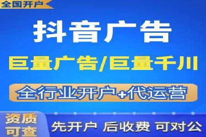 谷歌SEM案例研究：数据分析与效果评估